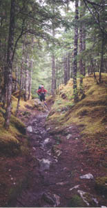 Beginning of Chilkoot Trail