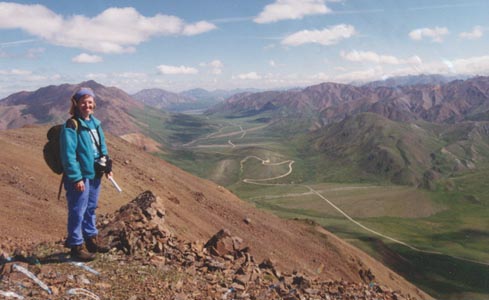 View eastward thru Denali N.P.