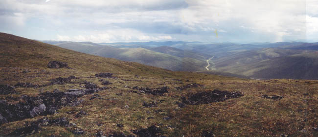 Eastward view from White Mt Trail