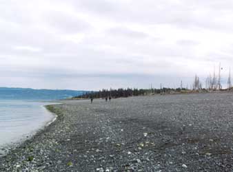 Hiking along Glacier Spit.