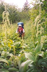 The trail was VERY overgrown!