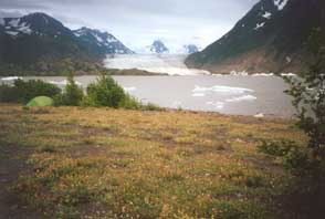 Our site along Grewingk Lake