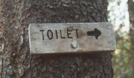 This way to Toilet