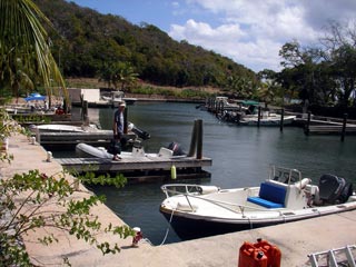 The community boat dock
