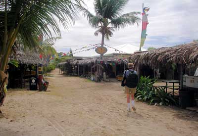 Trellis Bay Main St.