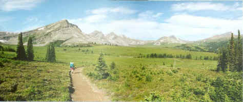 Meadows beyond Snowbowl Pass.