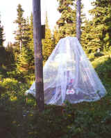 Our mosquito netting saves the day !!