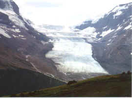 Athabasca Glacier.