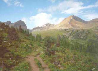 The trail to Helen Lake