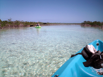 Paddling up Aligator Creek