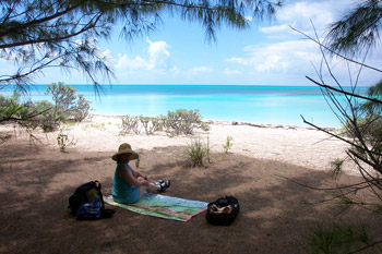 The beach at Port Royal