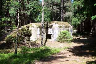 Pillbox in woods