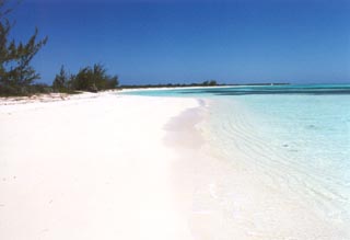 Gordon's Beach