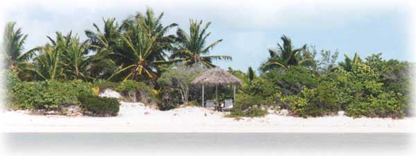 The beach and gazebo at Little Deadman's Cay