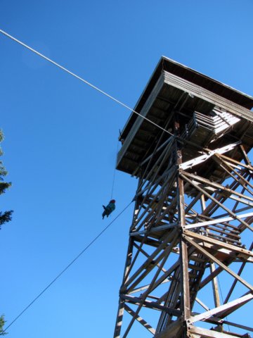 as0365.jpg