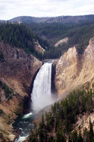 Lower Falls of Yellowstone River