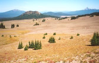 Pumice desert at Crater Lake