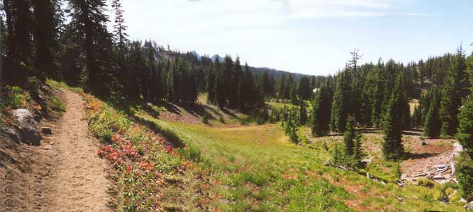A meadow on the Obsidian Flow Trail