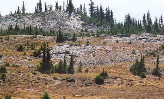 Fields of shining Obsidian