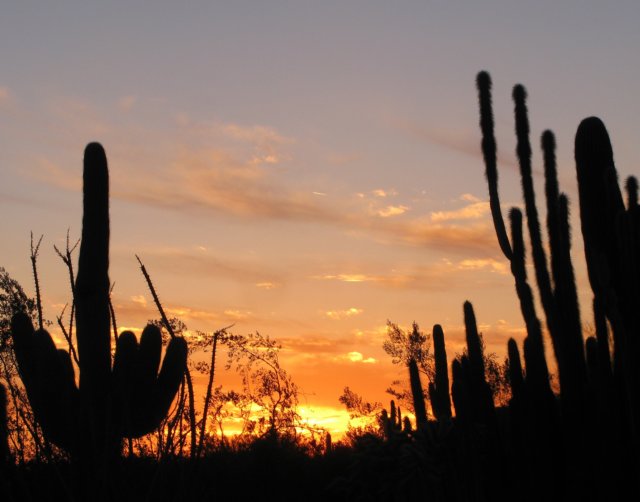 sunset.jpg
