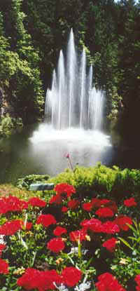 Flowery fountain