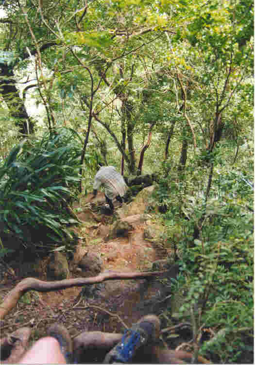 The climb up Petit Piton