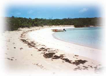 Pasture Cay beach