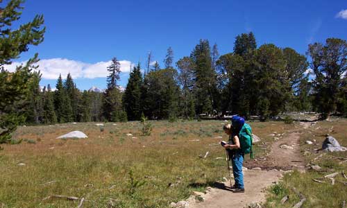 Diane on the Pole Creek trail