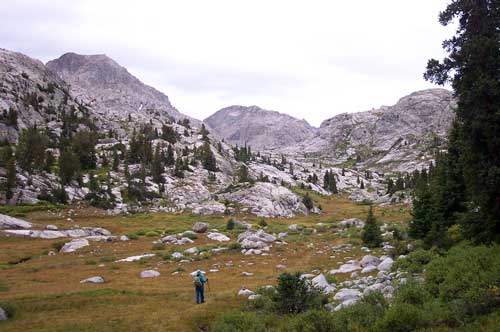 Bushwack to Wall Lake