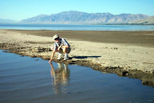 Touching the Great Salt Lake