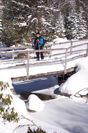 Diane on another bridge.